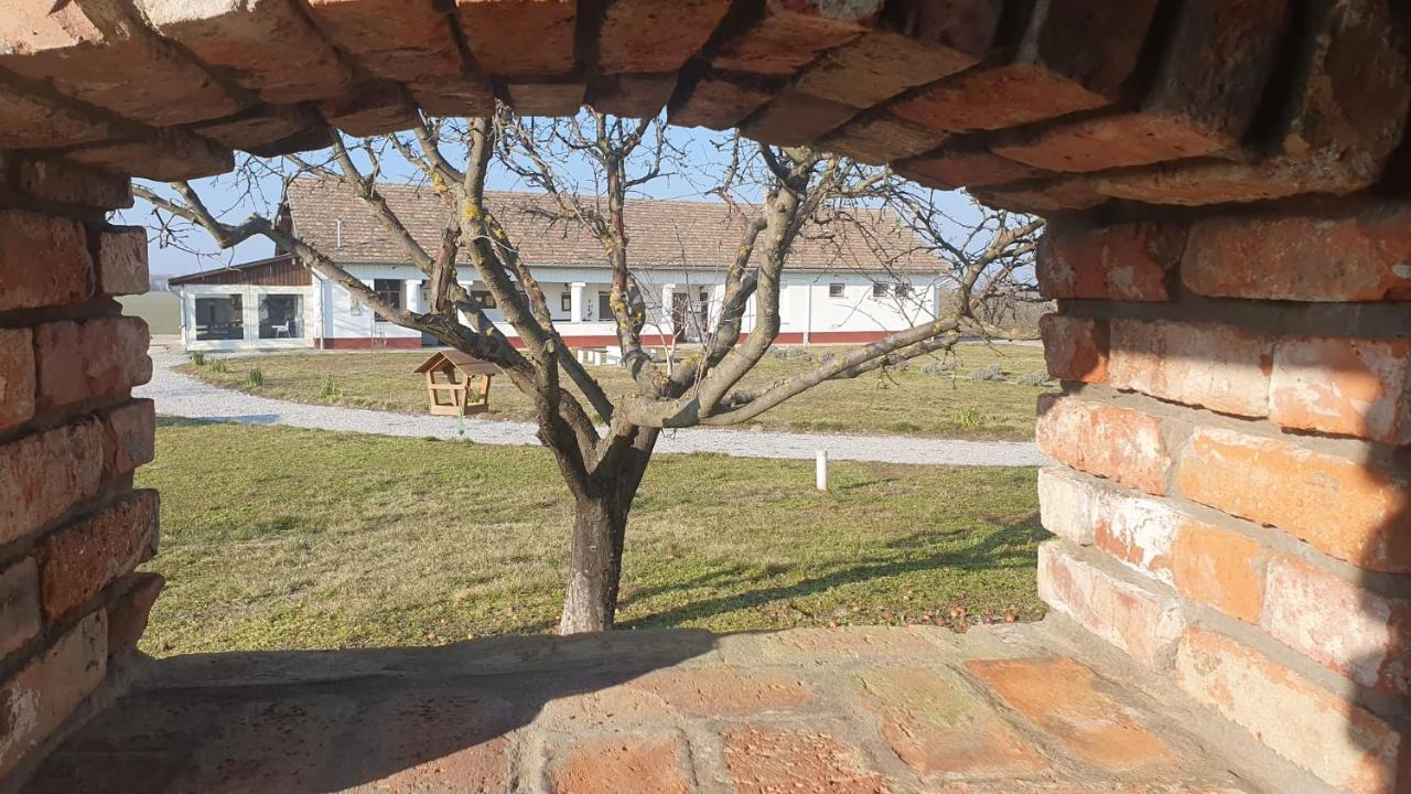 Tisza White House Bed & Breakfast Tiszaszolos Exterior foto